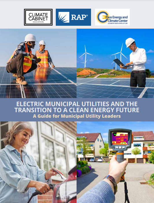 Municipal leaders & clean energy transition